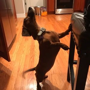 Meet your Posher, Julia